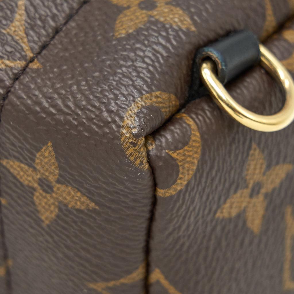 louis-vuitton-palm-springs-mini-backpack-monogram-canvas-new-zipper