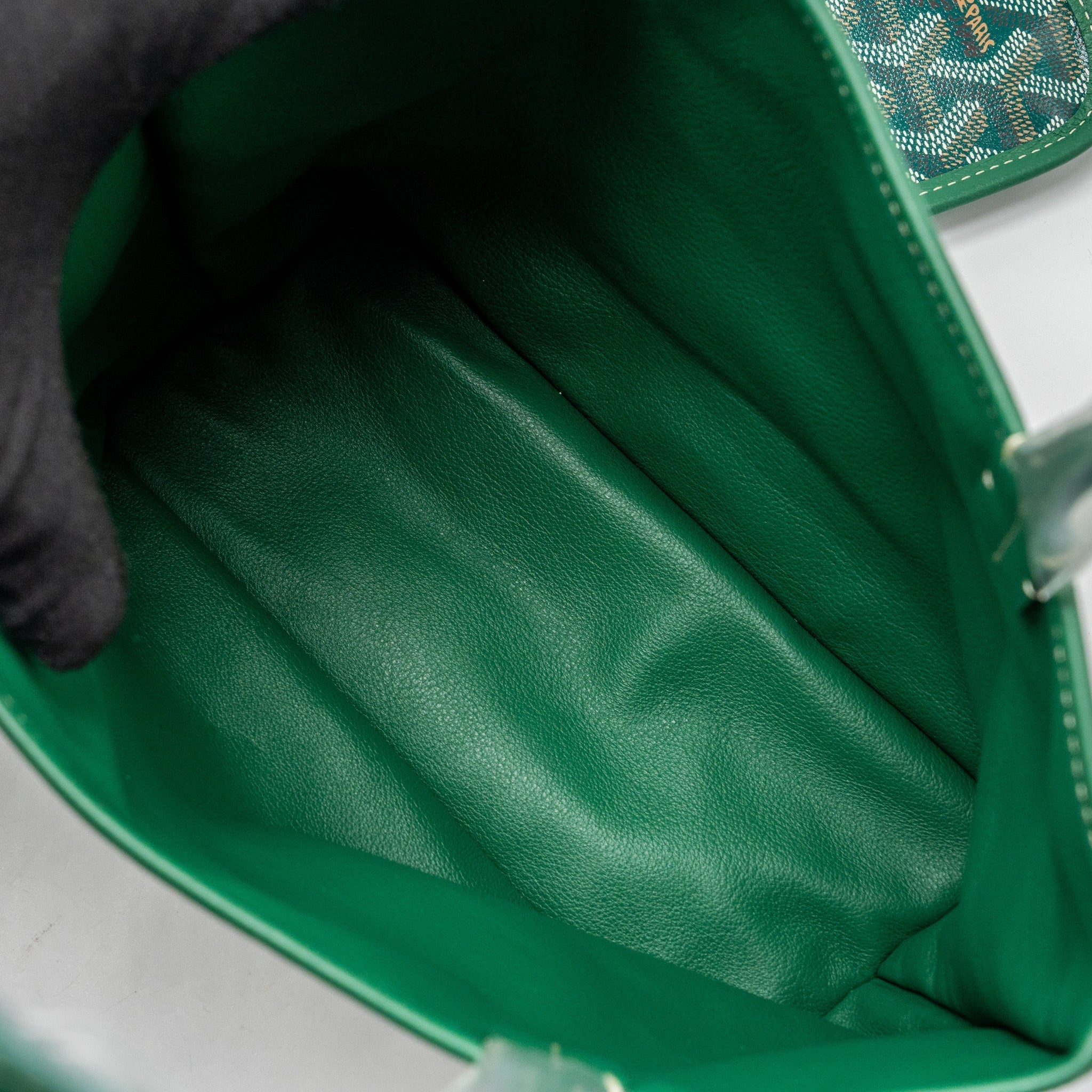 goyard-mini-anjou-tote-bag-goyardline-canvas-leather-green