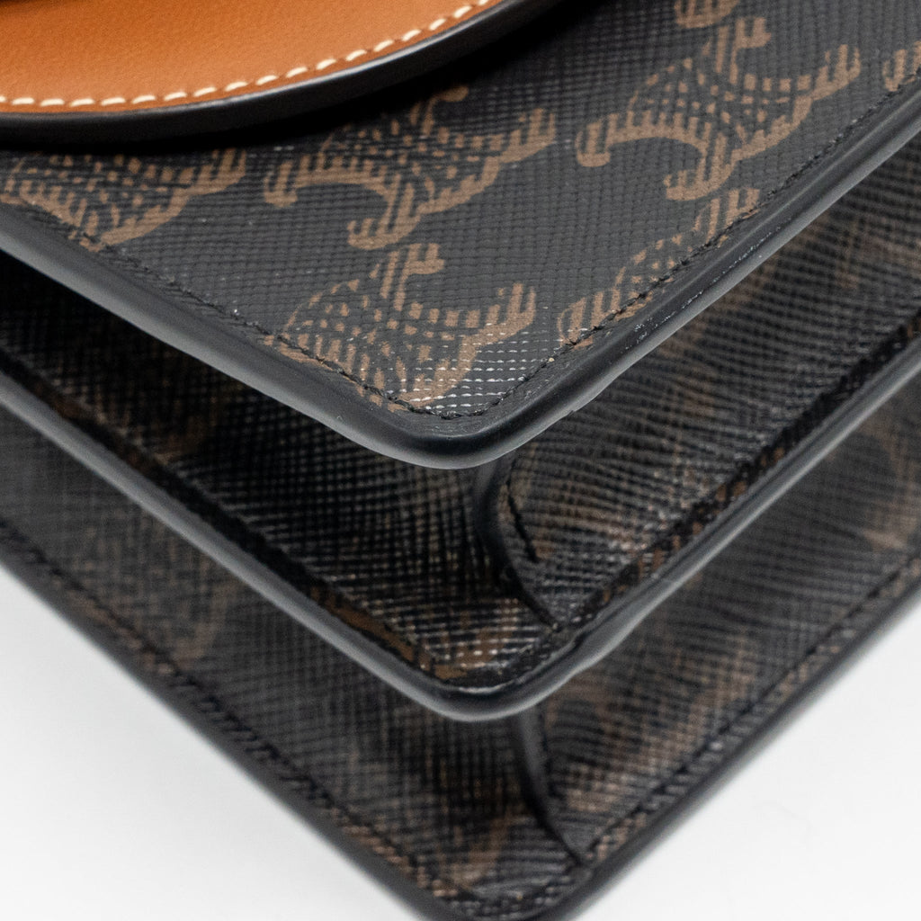 celine-wallet-on-strap-triomphe-canvas-smooth-lambskin-tan-ghw-7