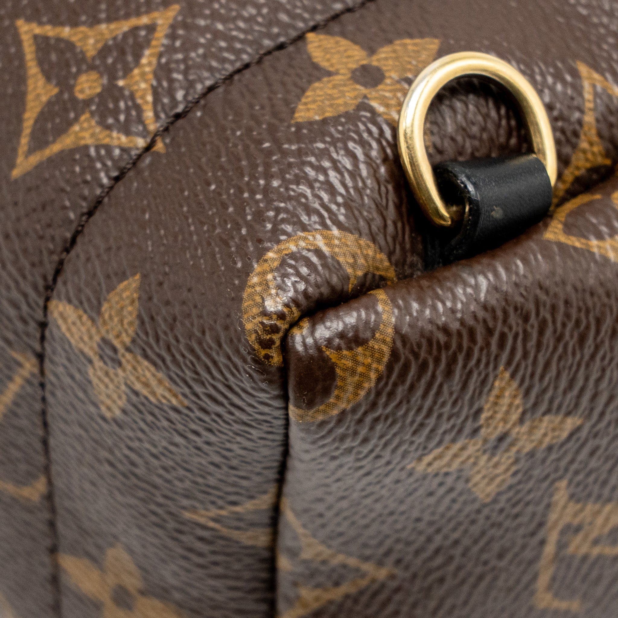 louis-vuitton-mini-palm-spring-backpack-monogram-canvas-ghw-16