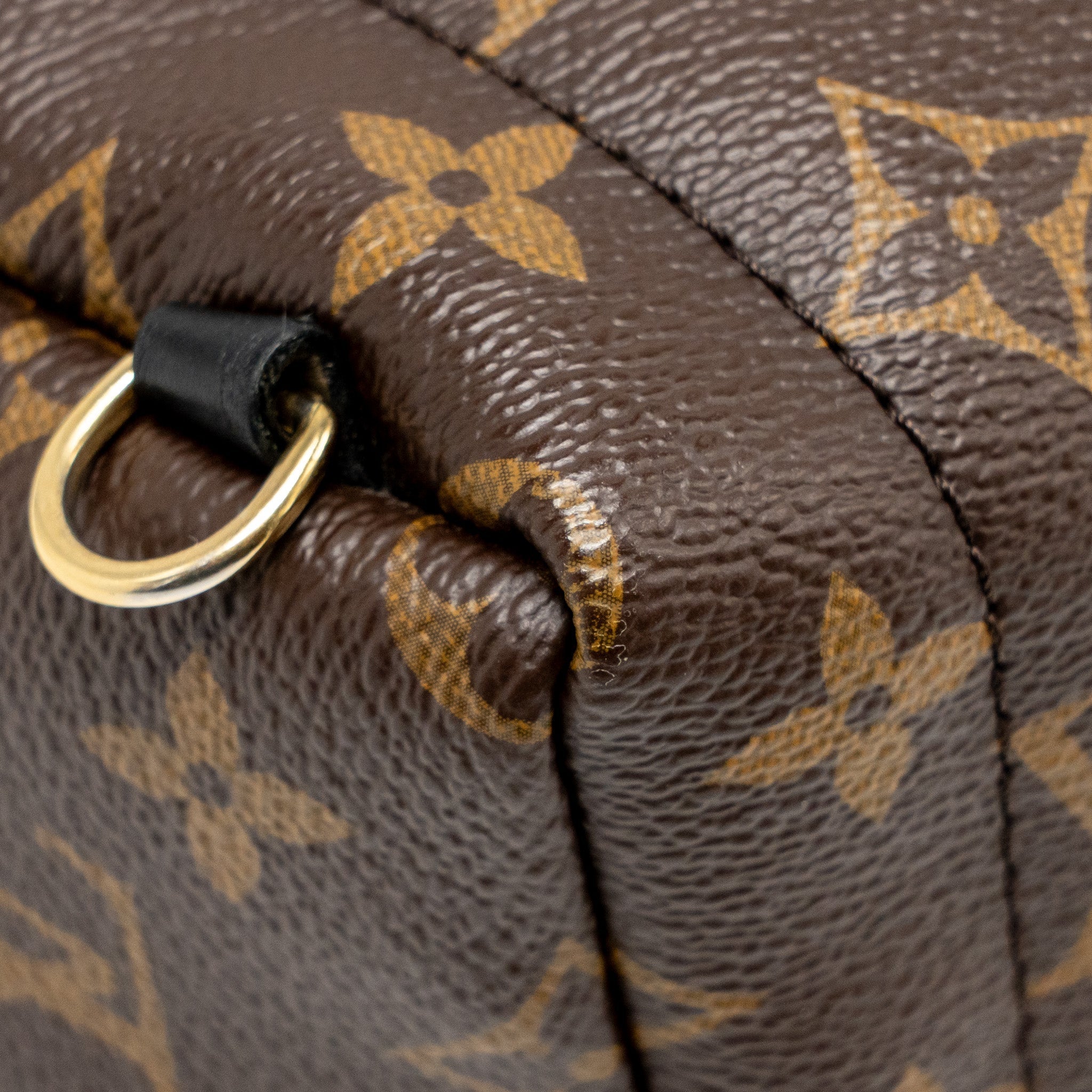 louis-vuitton-mini-palm-spring-backpack-monogram-canvas-ghw-16