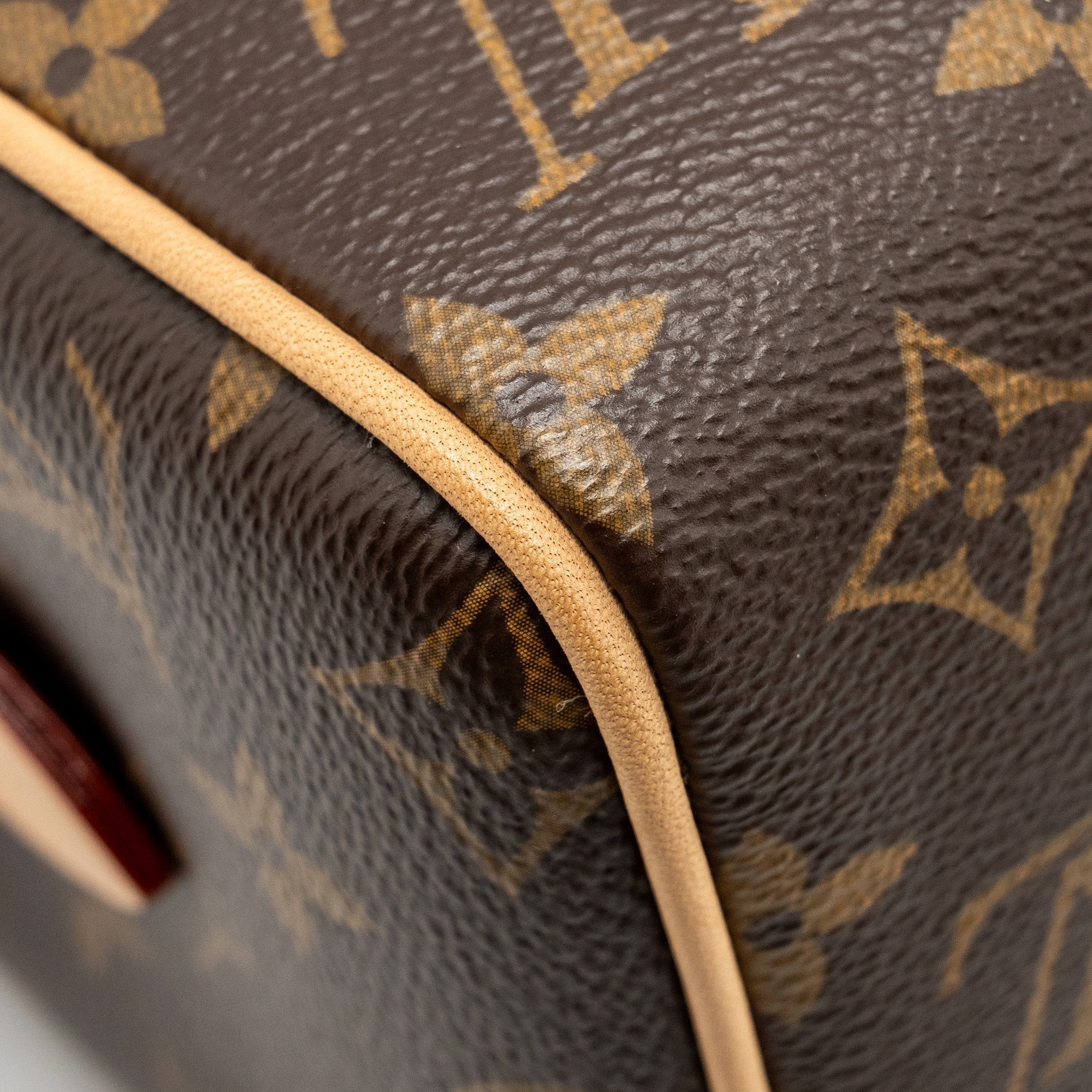 louis-vuitton-speedy-bandouliere-20-monogram-canvas-ghw-1