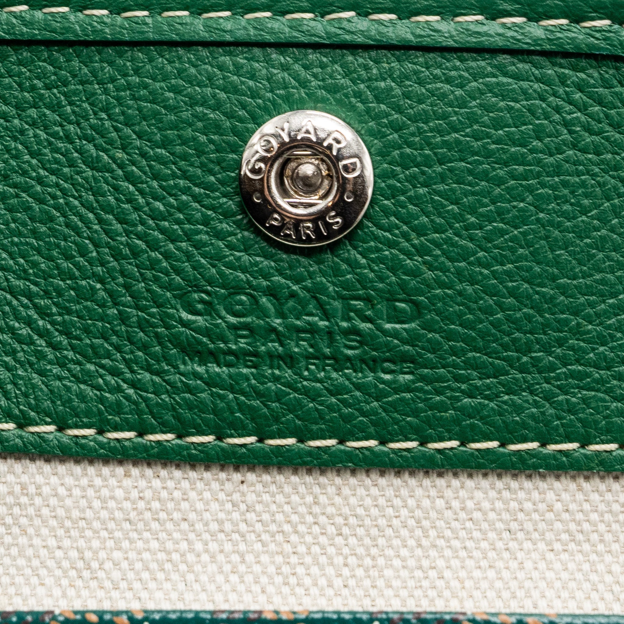 goyard-anjou-mini-bag-canvas-calfskin-green-shw-1