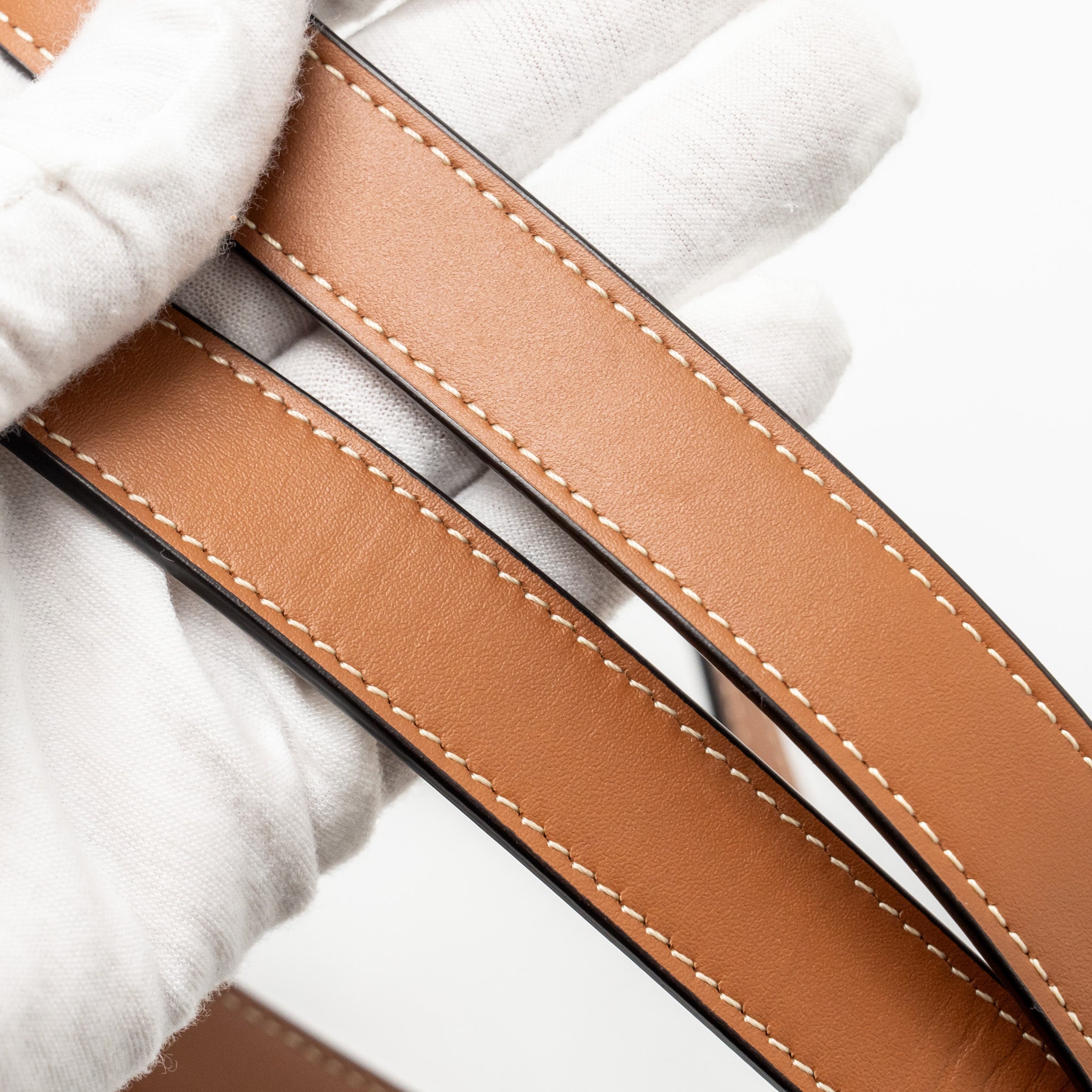 celine-mini-backpack-folco-triomphe-canvas-calfskin-tan-ghw-2