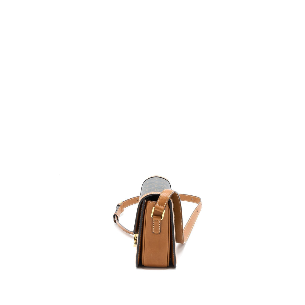 celine-teen-triomphe-bag-in-triomphe-canvas-nature-calfskin-ghw