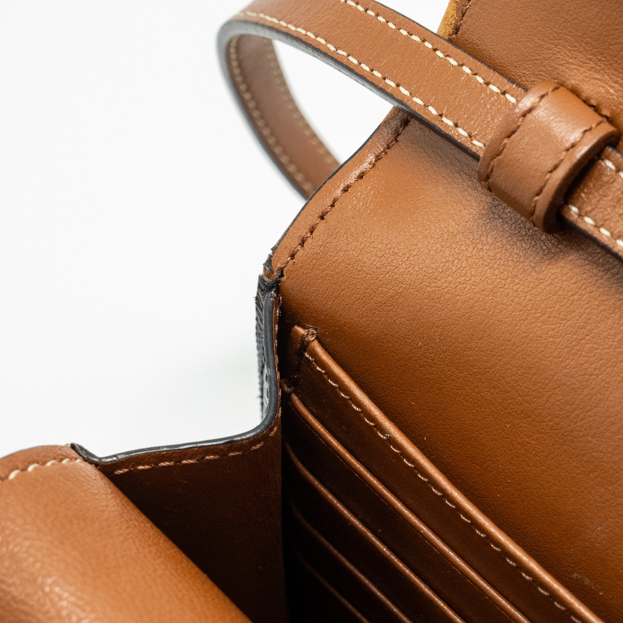 celine-wallet-on-strap-triomphe-canvas-smooth-lambskin-tan-ghw-4