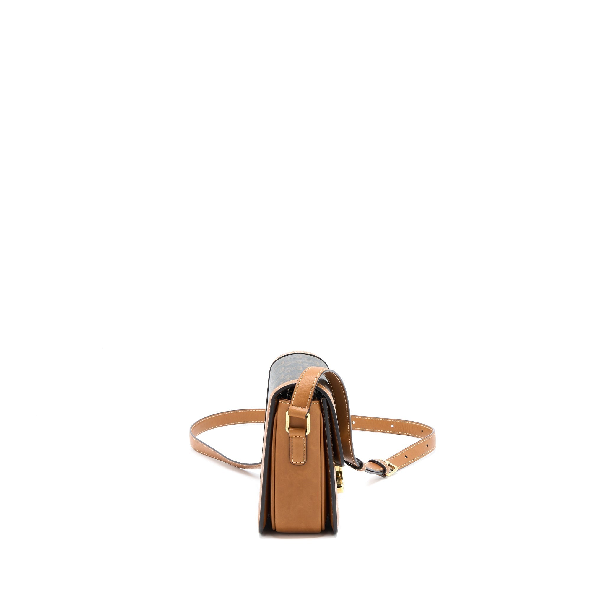 celine-teen-triomphe-bag-in-triomphe-canvas-nature-calfskin-ghw