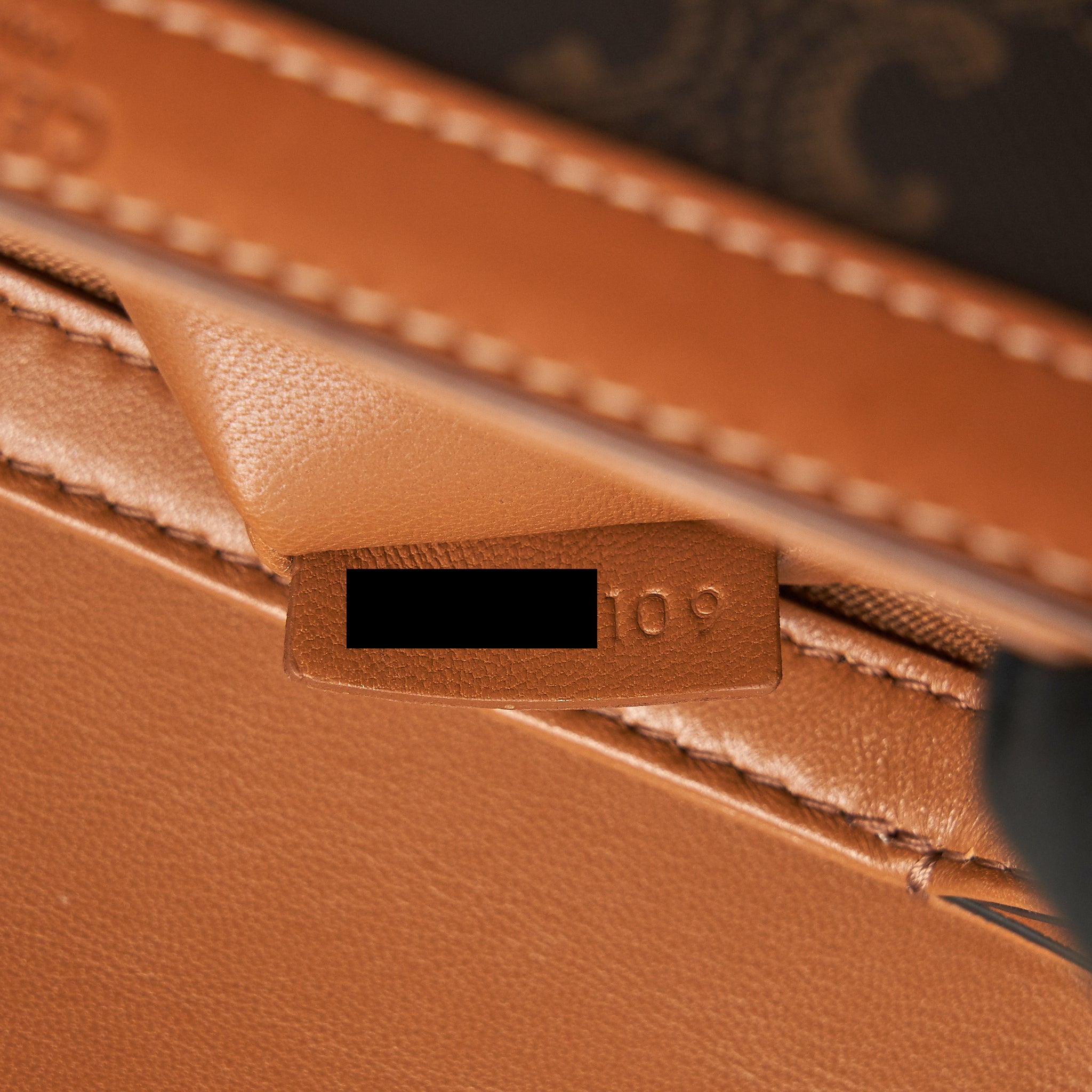 celine-teen-triomphe-bag-in-triomphe-canvas-and-calfskin-tan