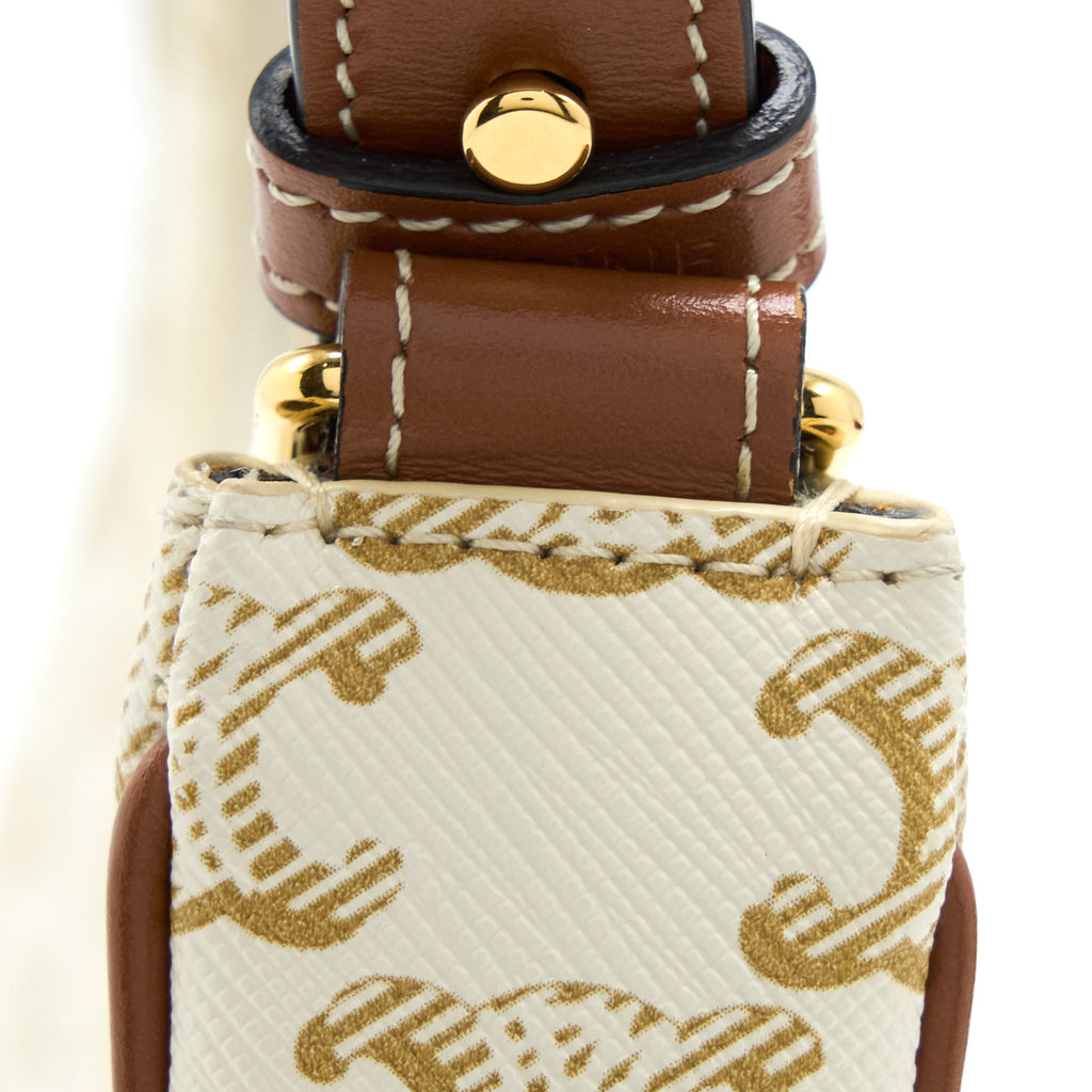 celine-ava-bag-in-triomphe-canvas-and-calfskin-white