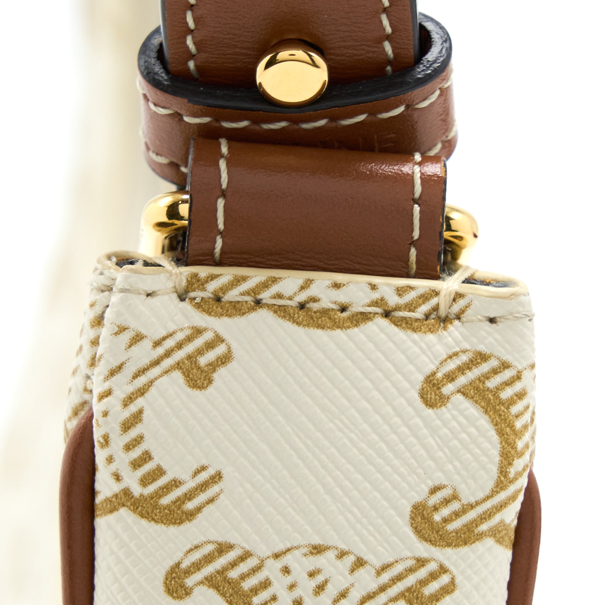 celine-ava-bag-in-triomphe-canvas-and-calfskin-white