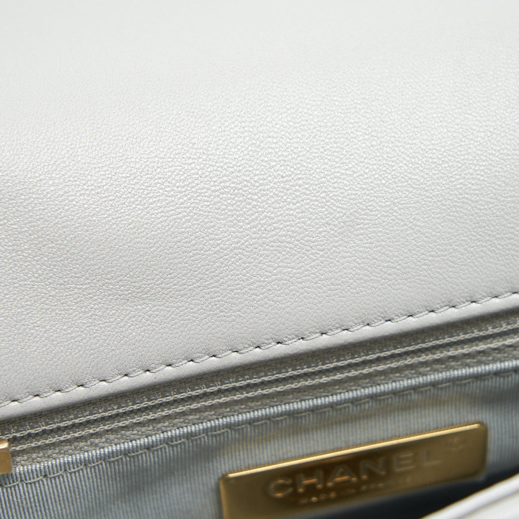 chanel-small-19-bag-lambskin-light-grey-with-multicolour-hardware-microchip