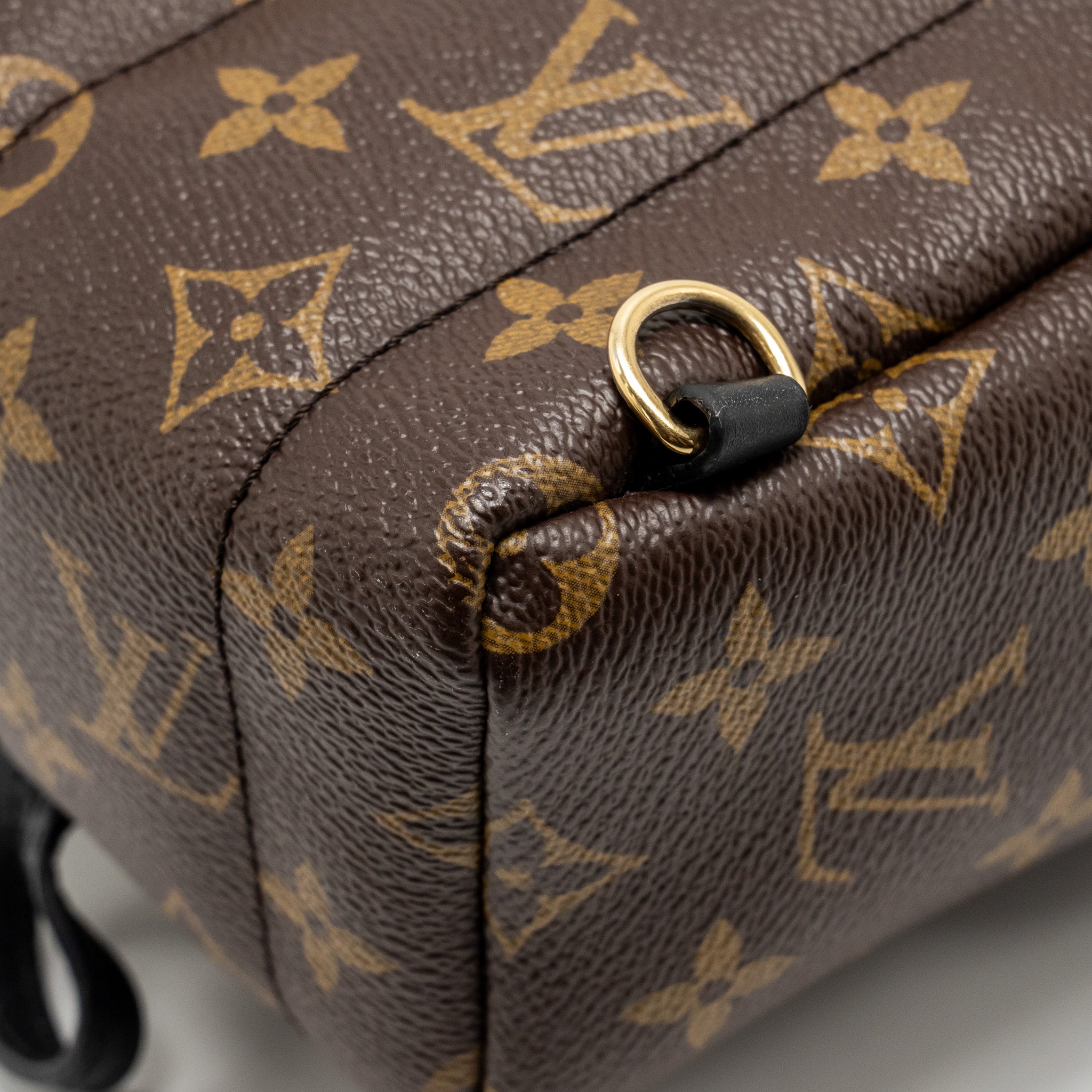 louis-vuitton-mini-palm-spring-backpack-monogram-canvas-ghw-13