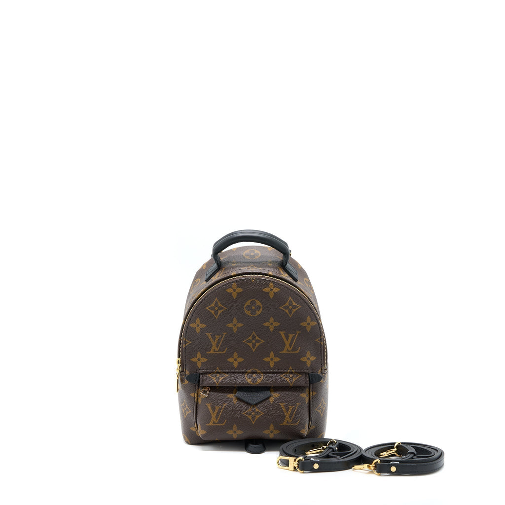 louis-vuitton-palm-spring-mini-backpack-monogram-canvas-ghw-6