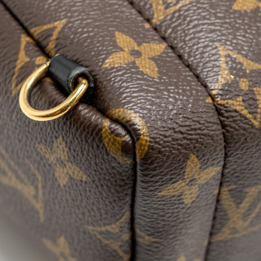louis-vuitton-mini-palm-spring-backpack-monogram-canvas-ghw-copy