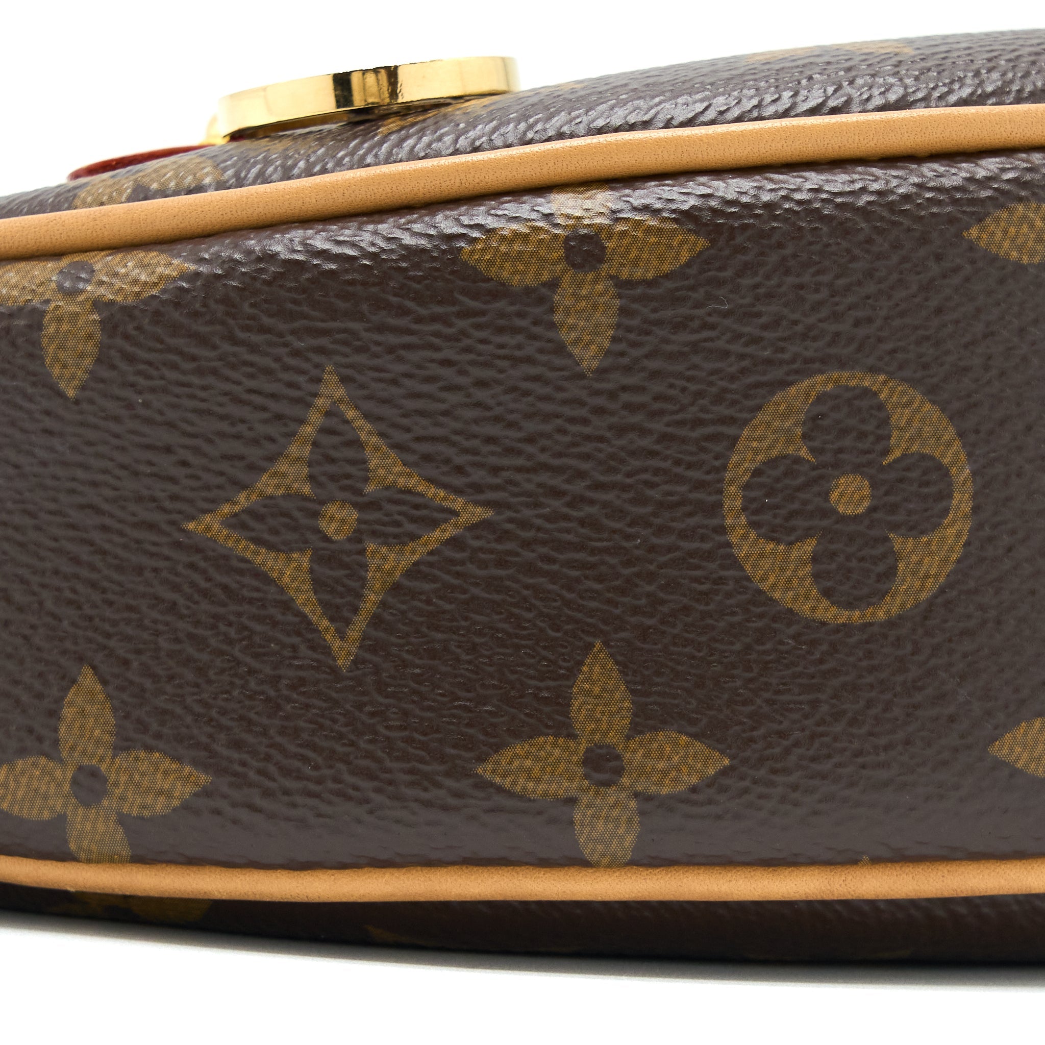 louis-vuitton-loop-bag-monogram-canvas-ghw-1