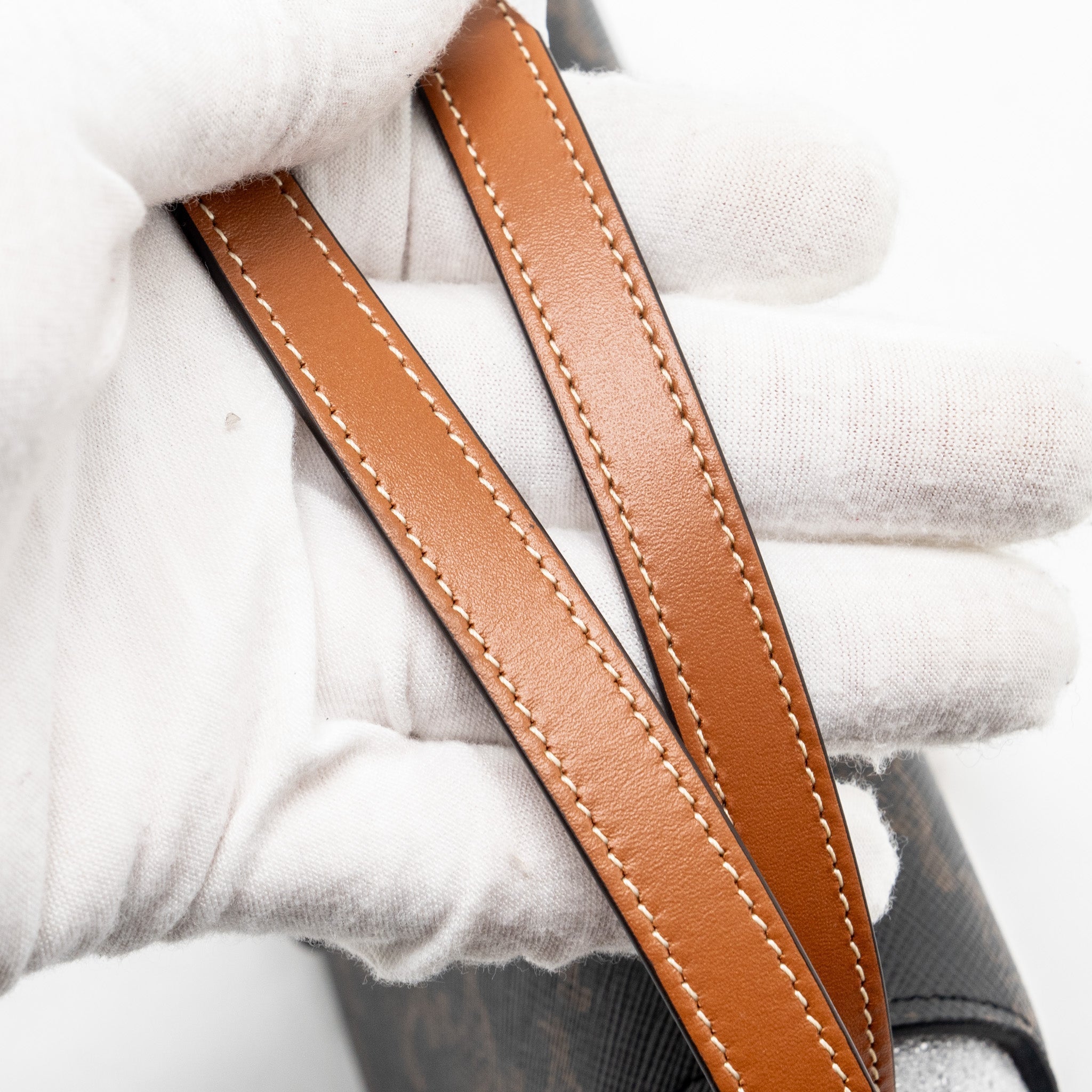 celine-clutch-on-strap-tabou-in-triomphe-canvas-calfskin-tan-ghw
