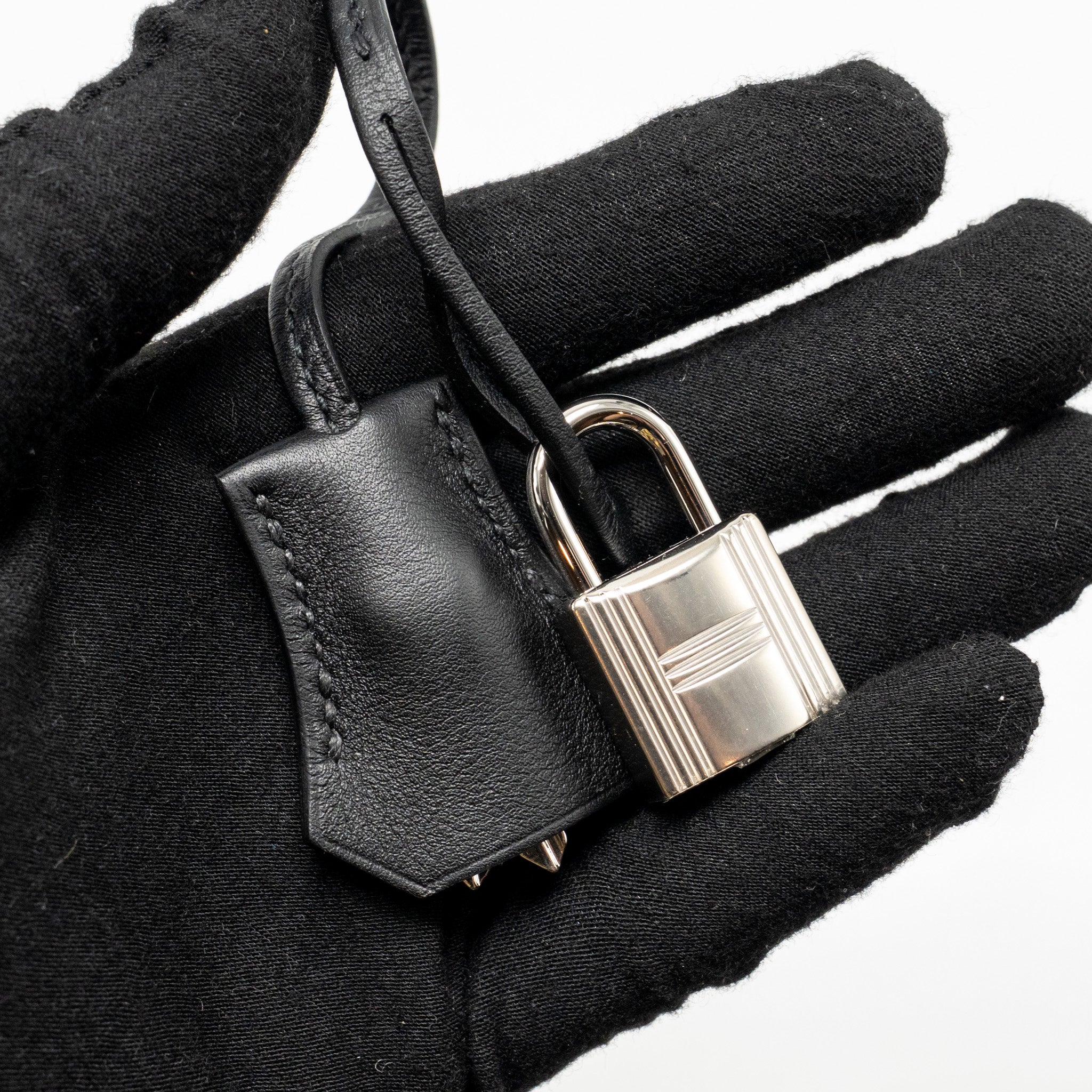 hermes-birkin-25-cargo-toile-goeland-swift-black-shw-stamp-w