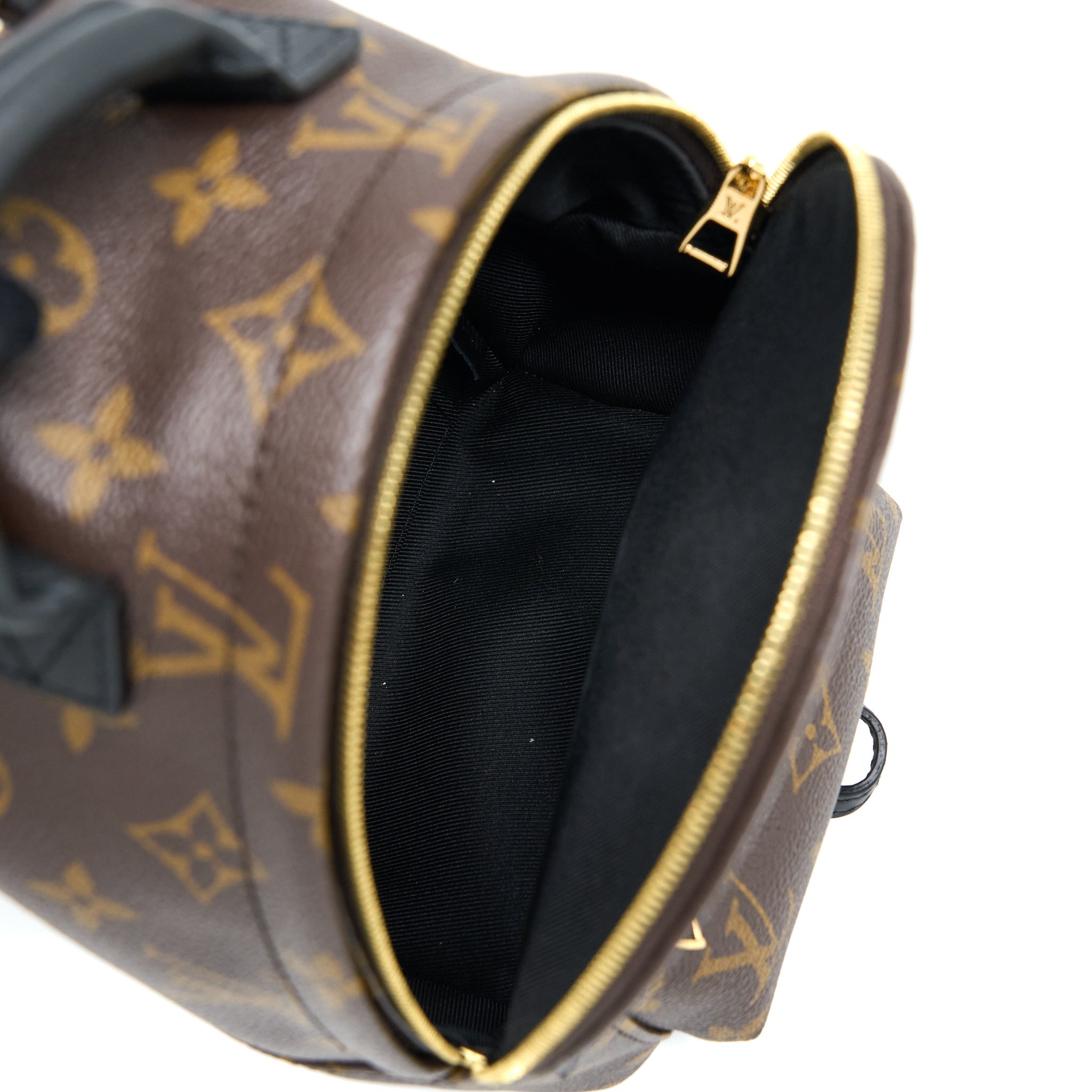 louis-vuitton-palm-springs-mini-backpack-new-version-monogram-canvas-ghw