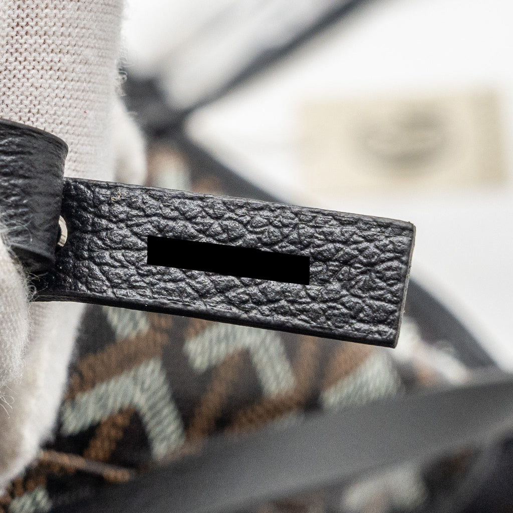goyard-saint-louis-pm-tote-bag-goyardline-canvas-black-shw