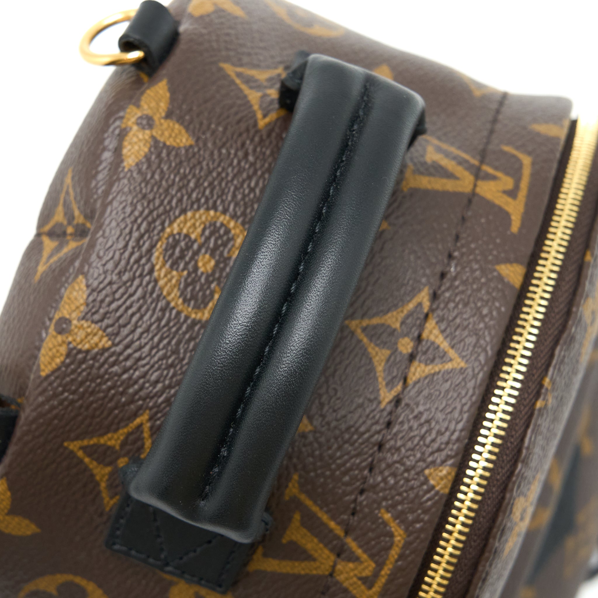 louis-vuitton-palm-spring-mini-backpack-monogram-canvas-ghw-6