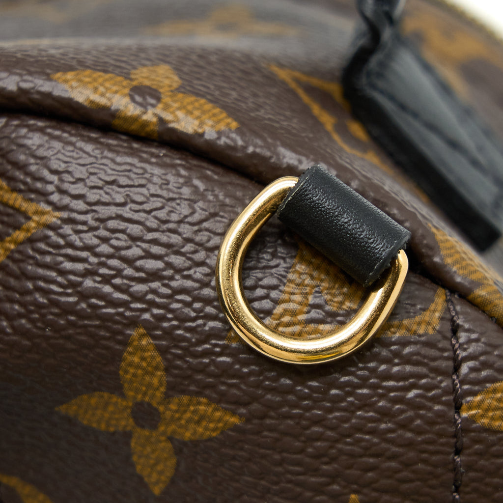 louis-vuitton-palm-spring-mini-backpack-monogram-canvas-ghw-6