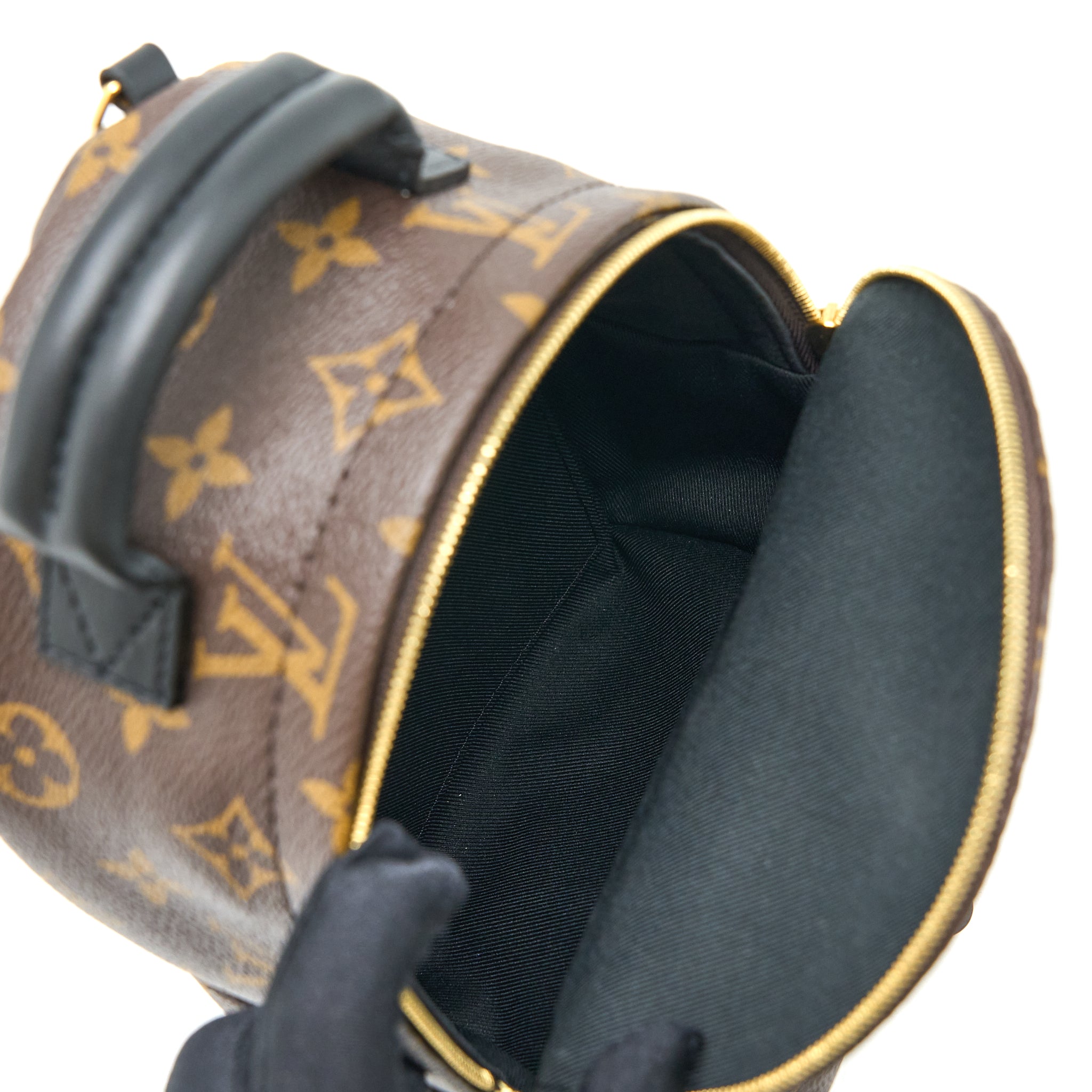 copy-of-louis-vuitton-palm-spring-mini-backpack-monogram-canvas-ghw