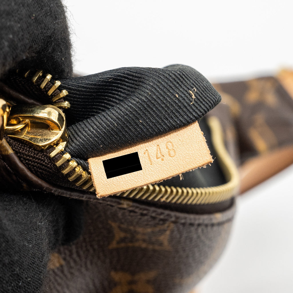 louis-vuitton-bumbag-monogram-canvas-ghw-3