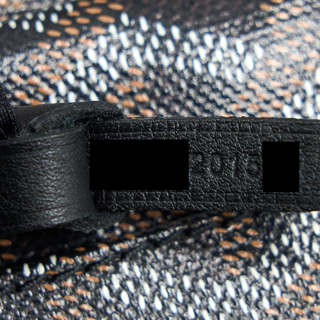 goyard-saint-louis-tote-pm-black-multicolour-1