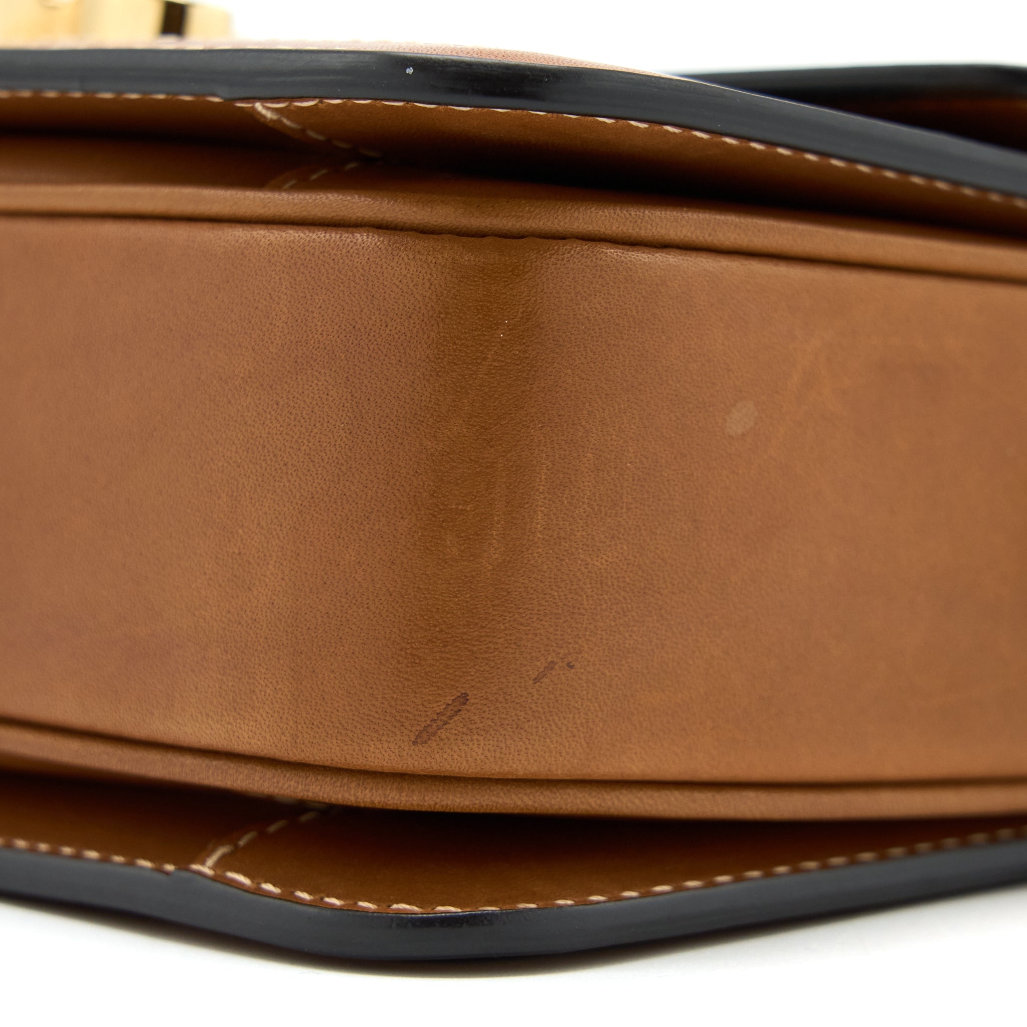 celine-teen-triomphe-bag-in-triomphe-canvas-nature-calfskin-ghw