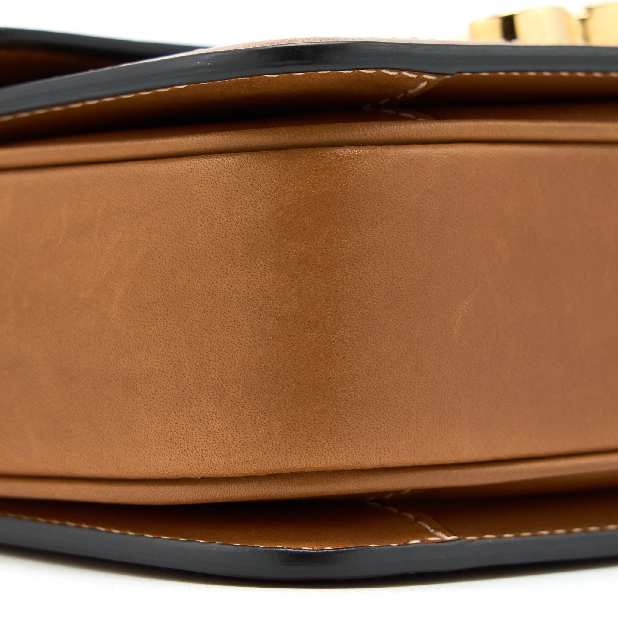 celine-teen-triomphe-bag-in-triomphe-canvas-nature-calfskin-ghw