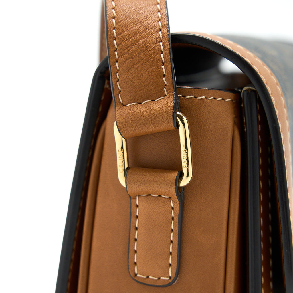 celine-teen-triomphe-bag-in-triomphe-canvas-nature-calfskin-ghw