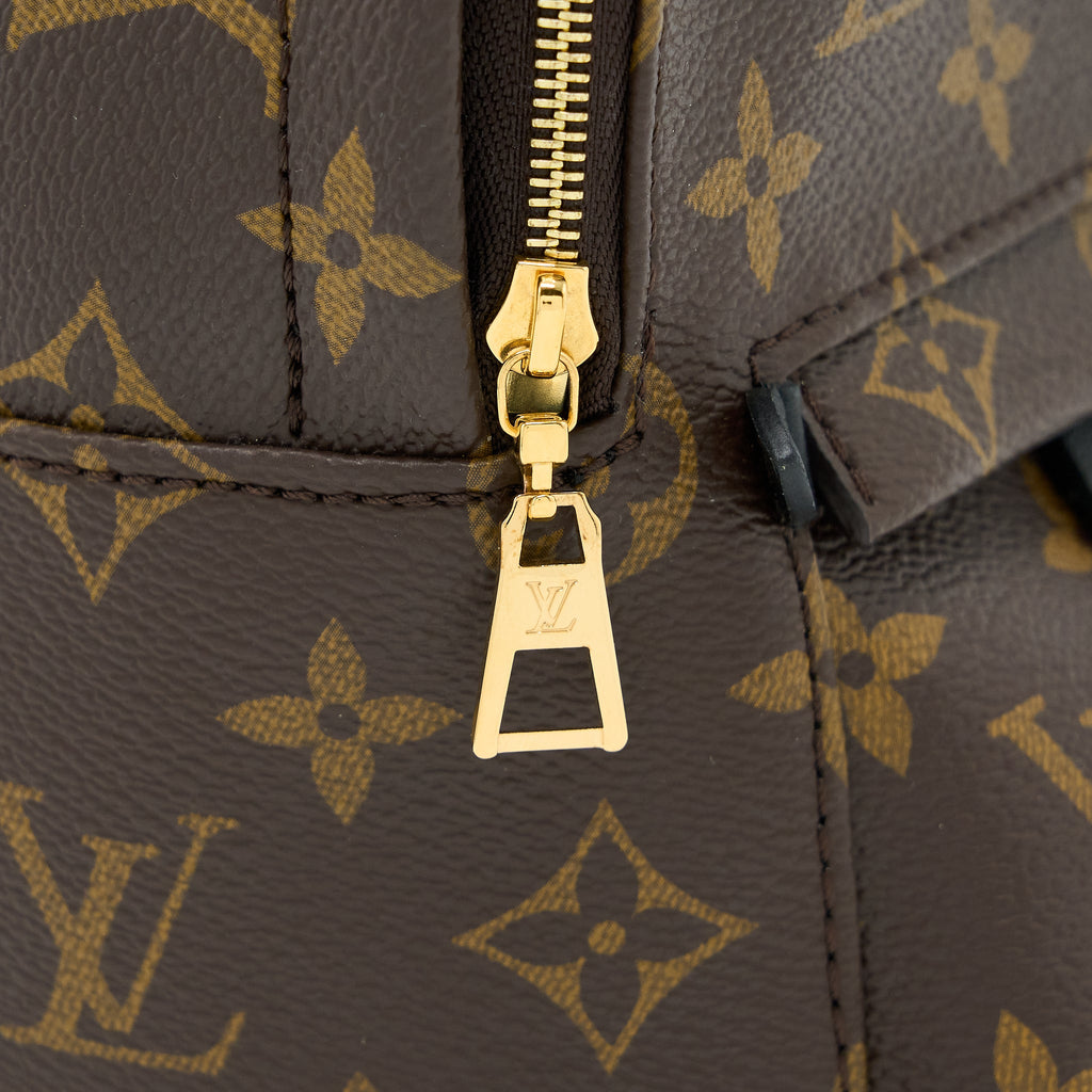 copy-of-louis-vuitton-palm-spring-mini-backpack-monogram-canvas-ghw