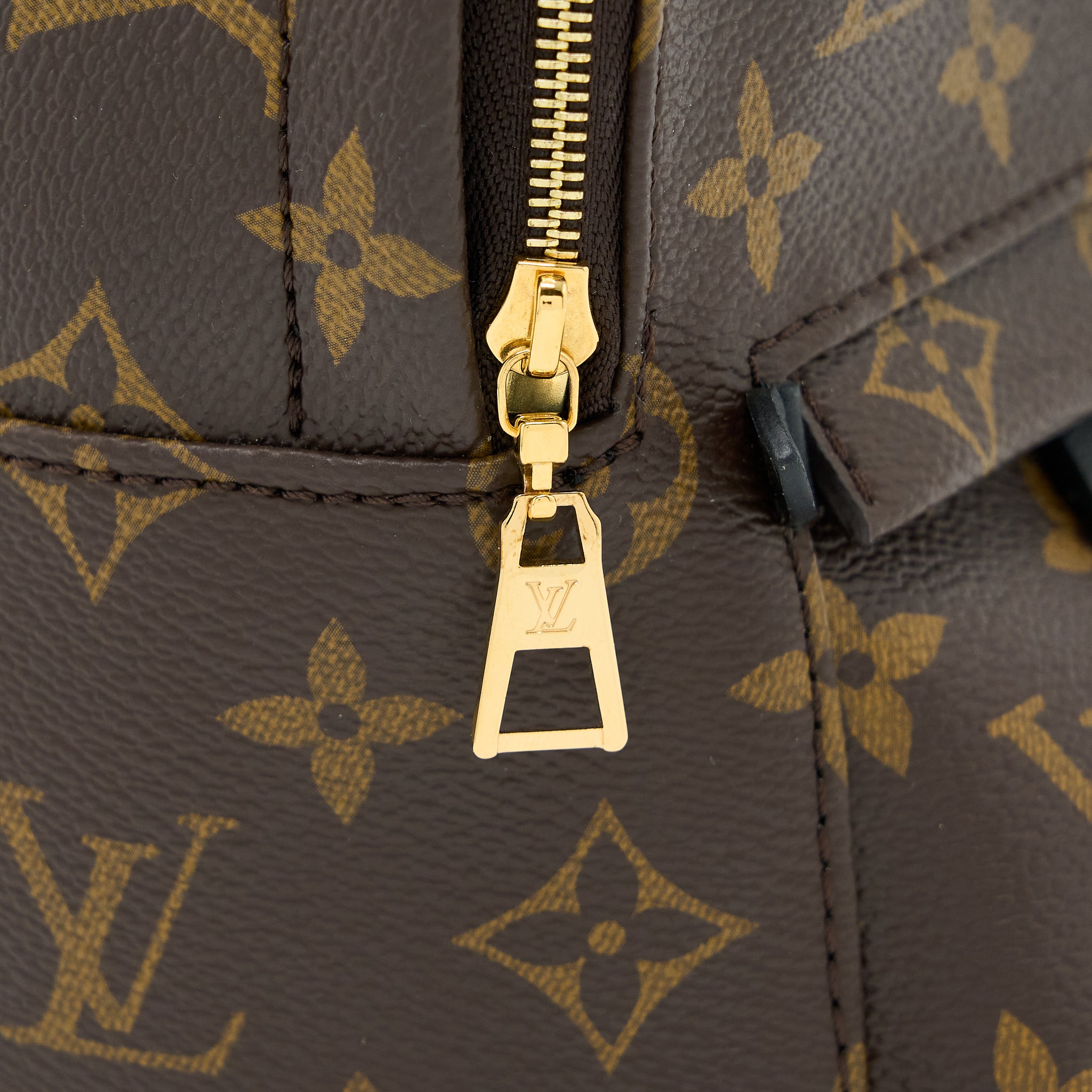 copy-of-louis-vuitton-palm-spring-mini-backpack-monogram-canvas-ghw