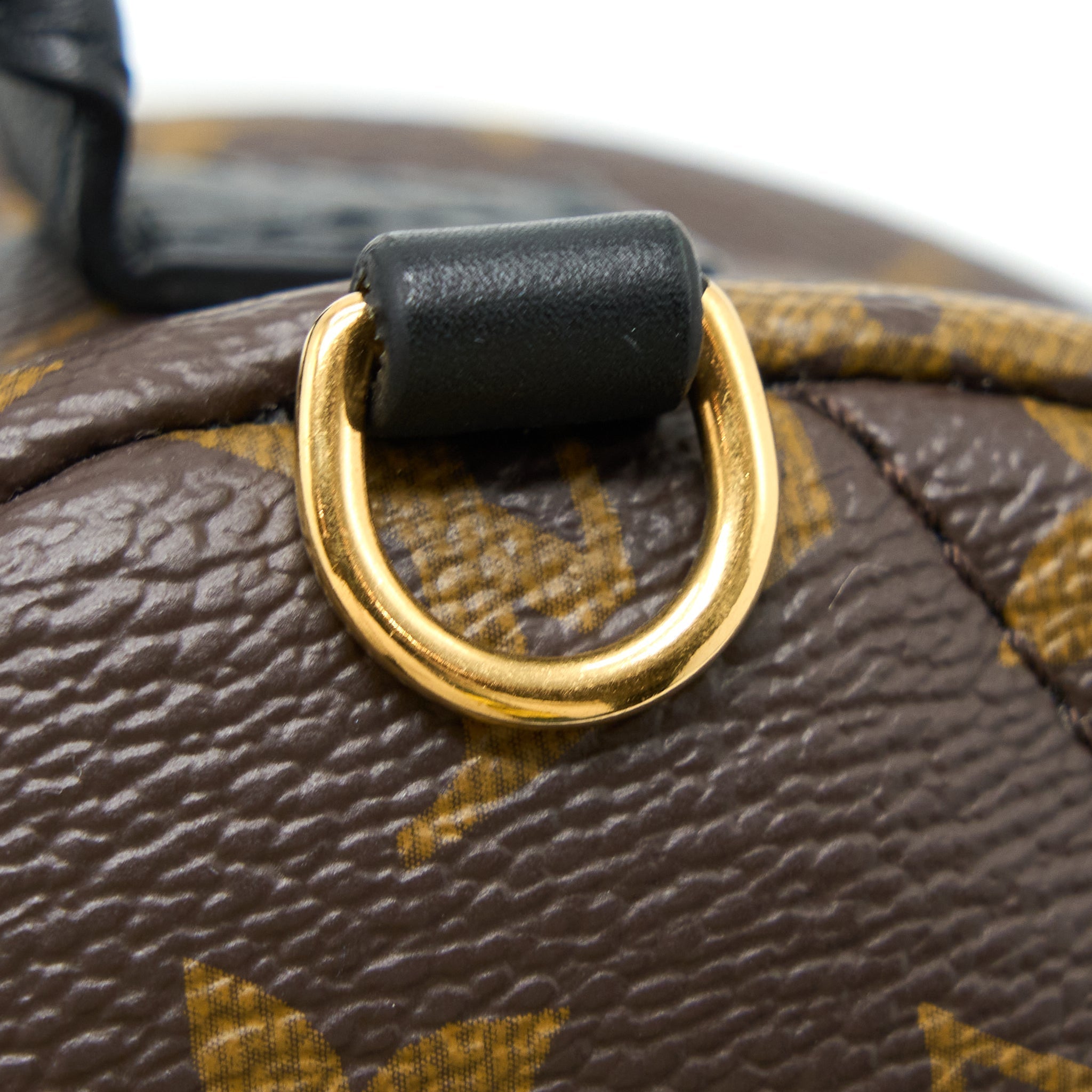 copy-of-louis-vuitton-palm-spring-mini-backpack-monogram-canvas-ghw
