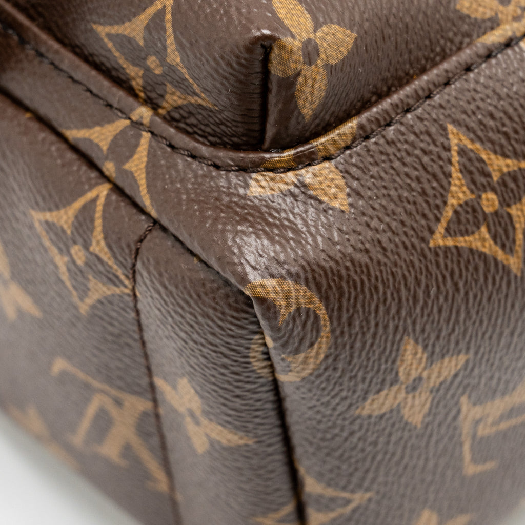 louis-vuitton-mini-palm-spring-backpack-monogram-canvas-ghw-10