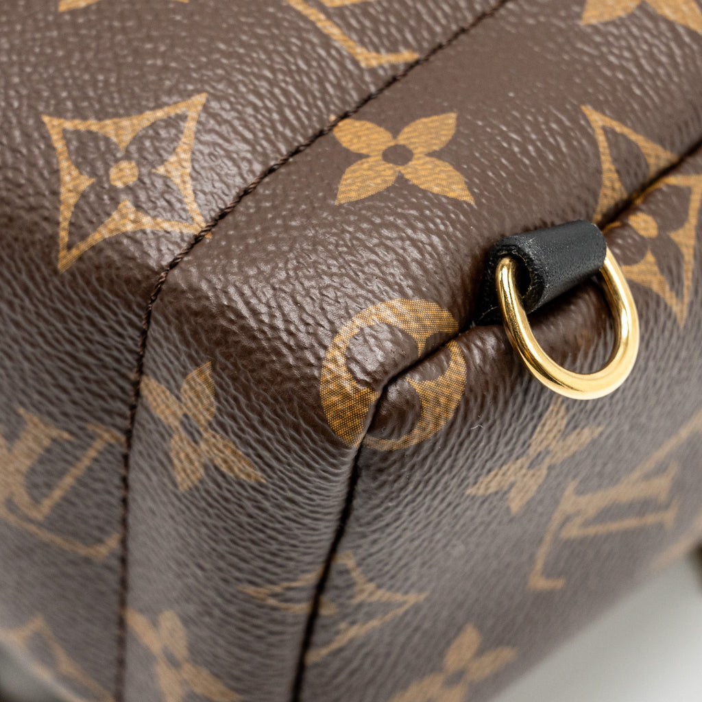 louis-vuitton-mini-palm-spring-backpack-monogram-canvas-ghw-10