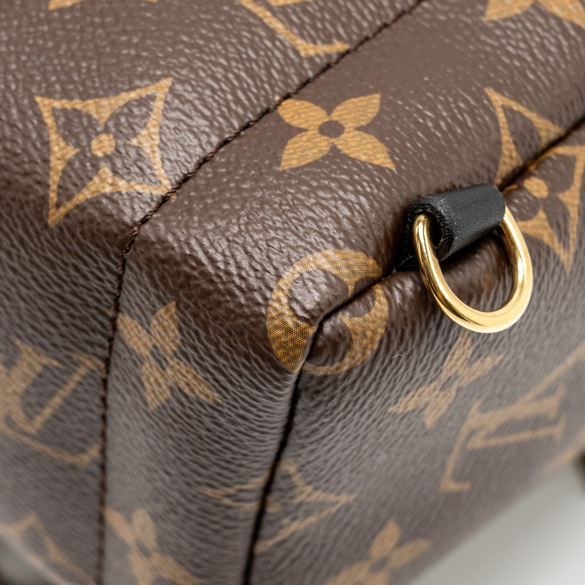 louis-vuitton-mini-palm-spring-backpack-monogram-canvas-ghw-10