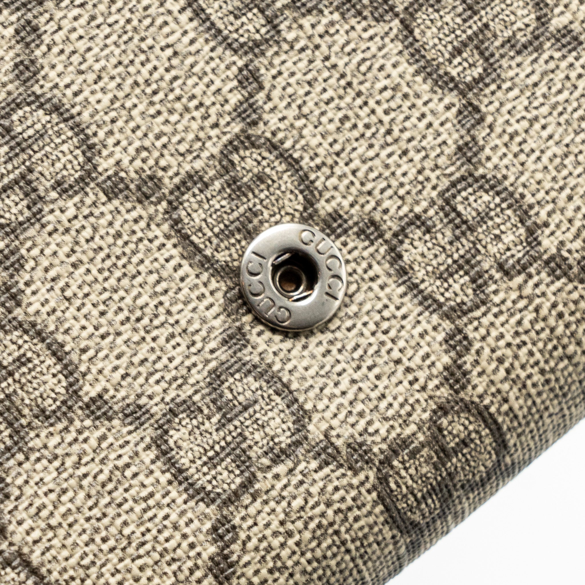 gucci-dionysus-mini-chain-bag-gg-supreme-canvas-beige-shw
