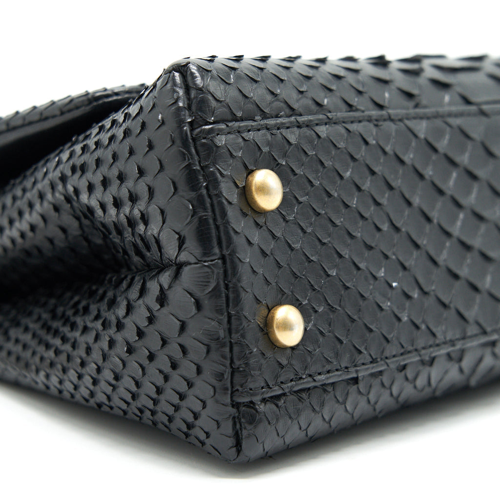 chanel-coco-handle-mini-python-leather-black-ghw