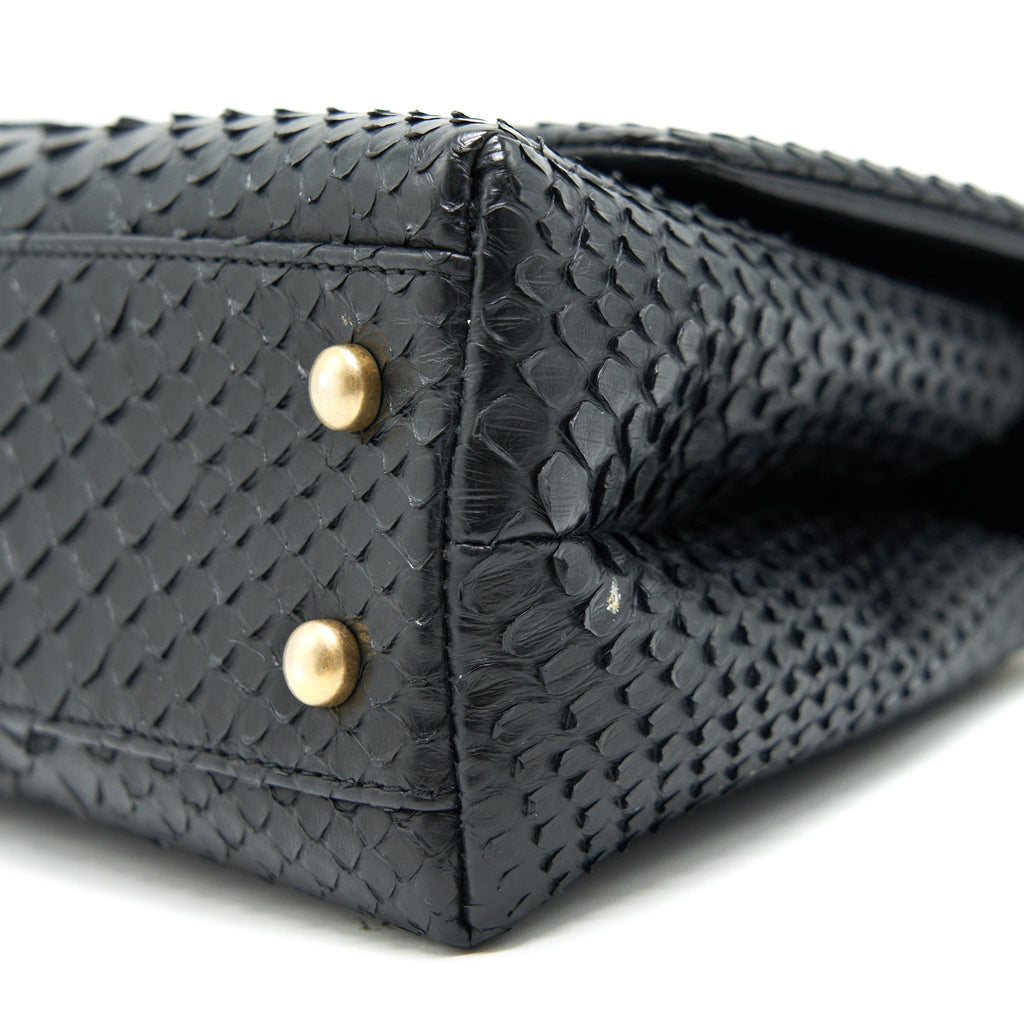 chanel-coco-handle-mini-python-leather-black-ghw