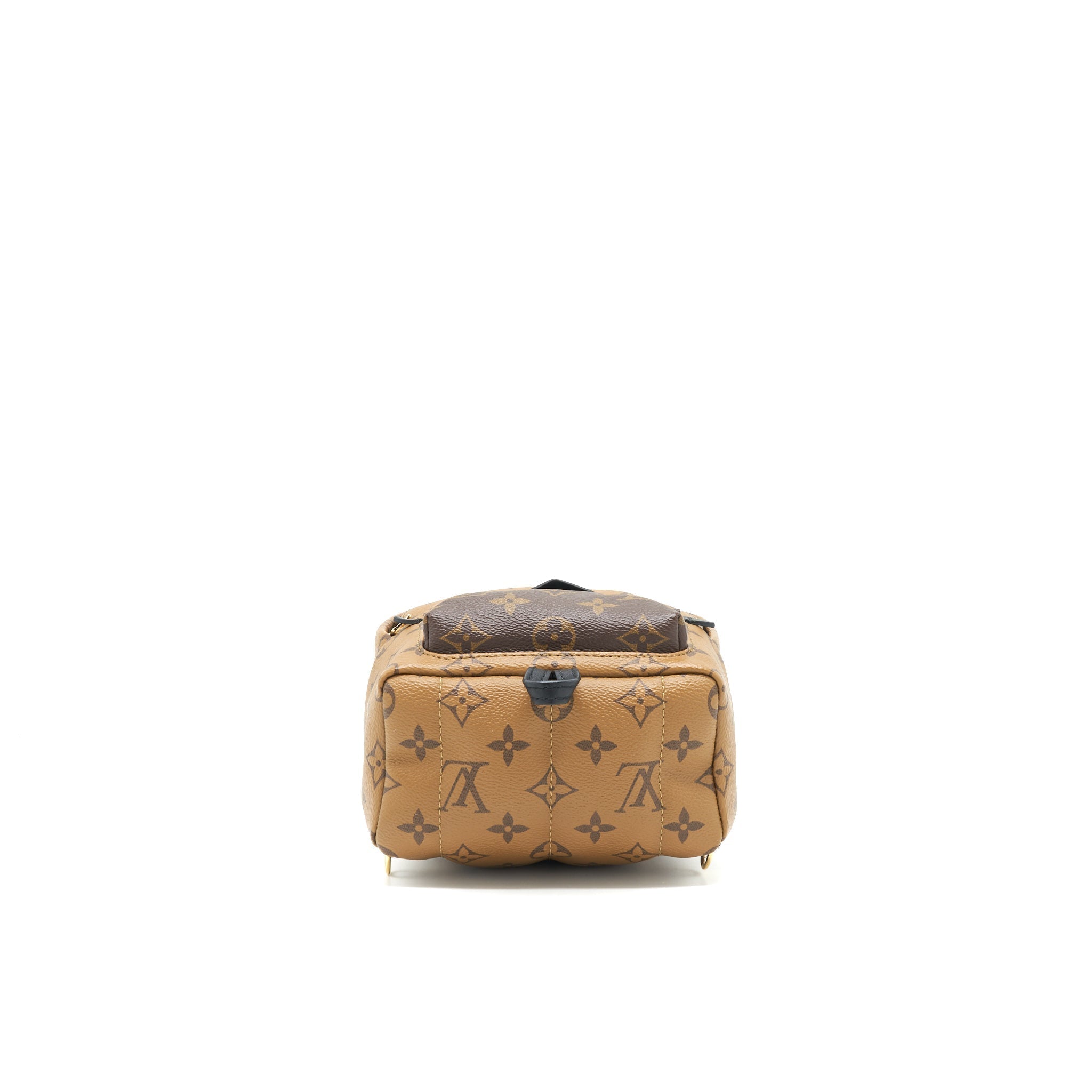 louis-vuitton-palm-spring-mini-backpack-monogram-canvas-1