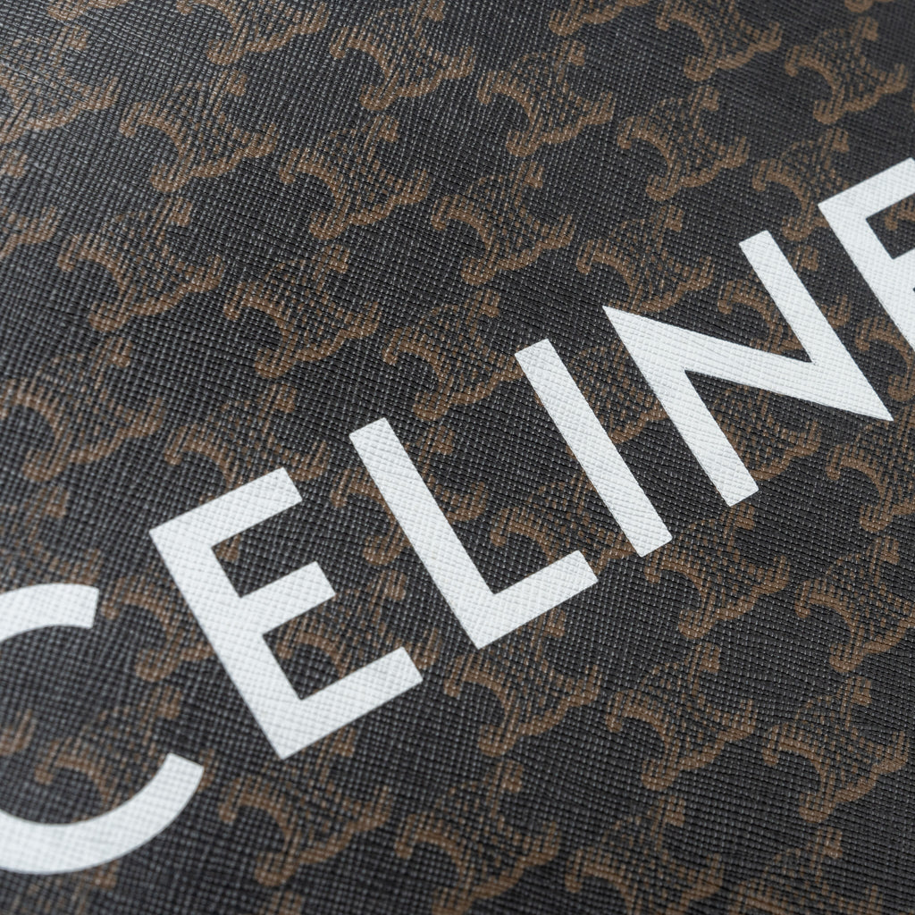 celine-cabas-vertical-in-triomphe-canvas-and-calfskin-ghw
