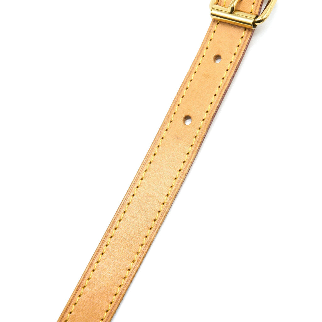 louis-vuitton-speedy-bandouliere-25-monogram-canvas-ghw-1