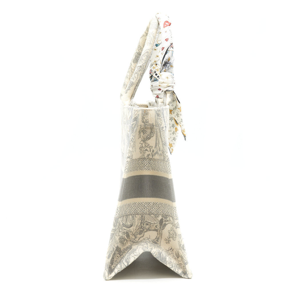 dior-small-dior-book-tote-gray-toile-de-jouy-embroidery-an-extra-dior-twilly