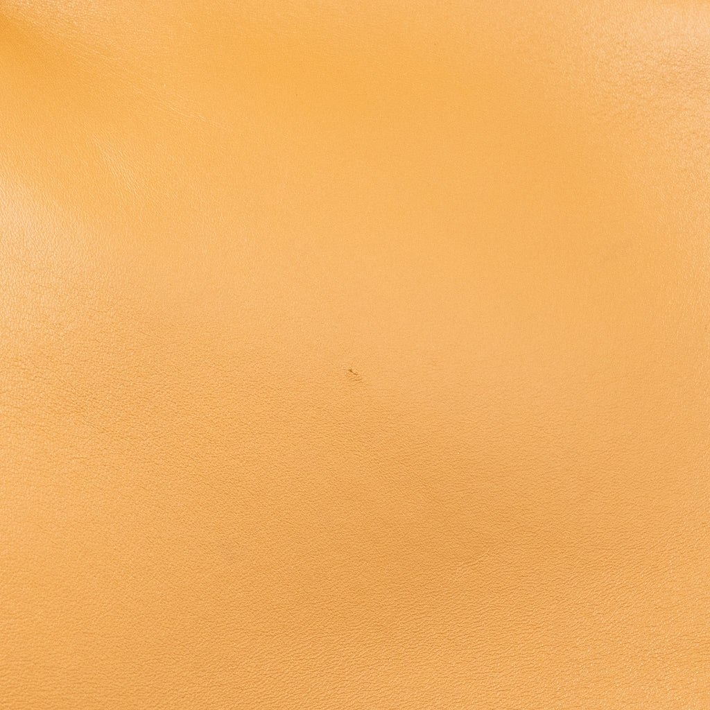 fendi-first-medium-nappa-lambskin-caramel-ghw