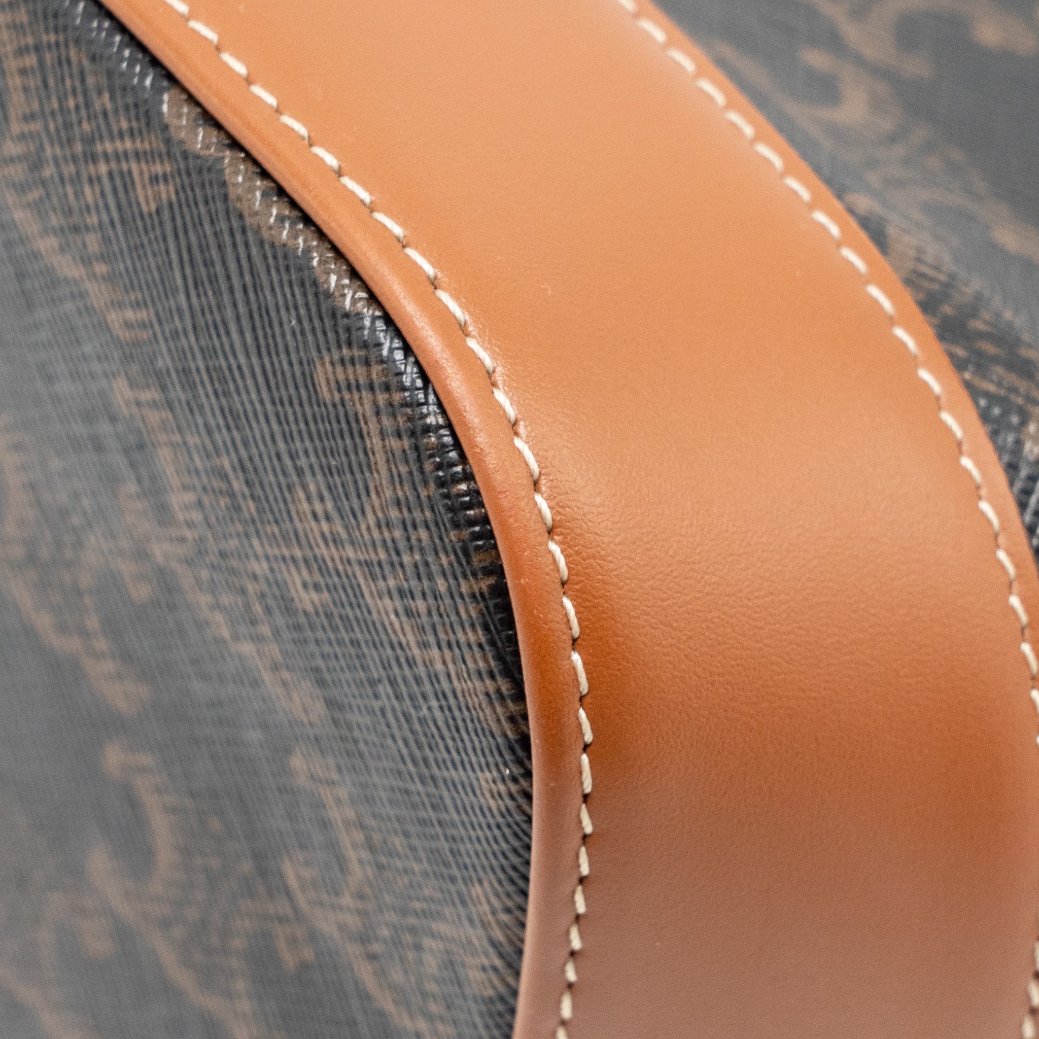celine-small-bucket-bag-triomphe-canvas-leather-ghw-1