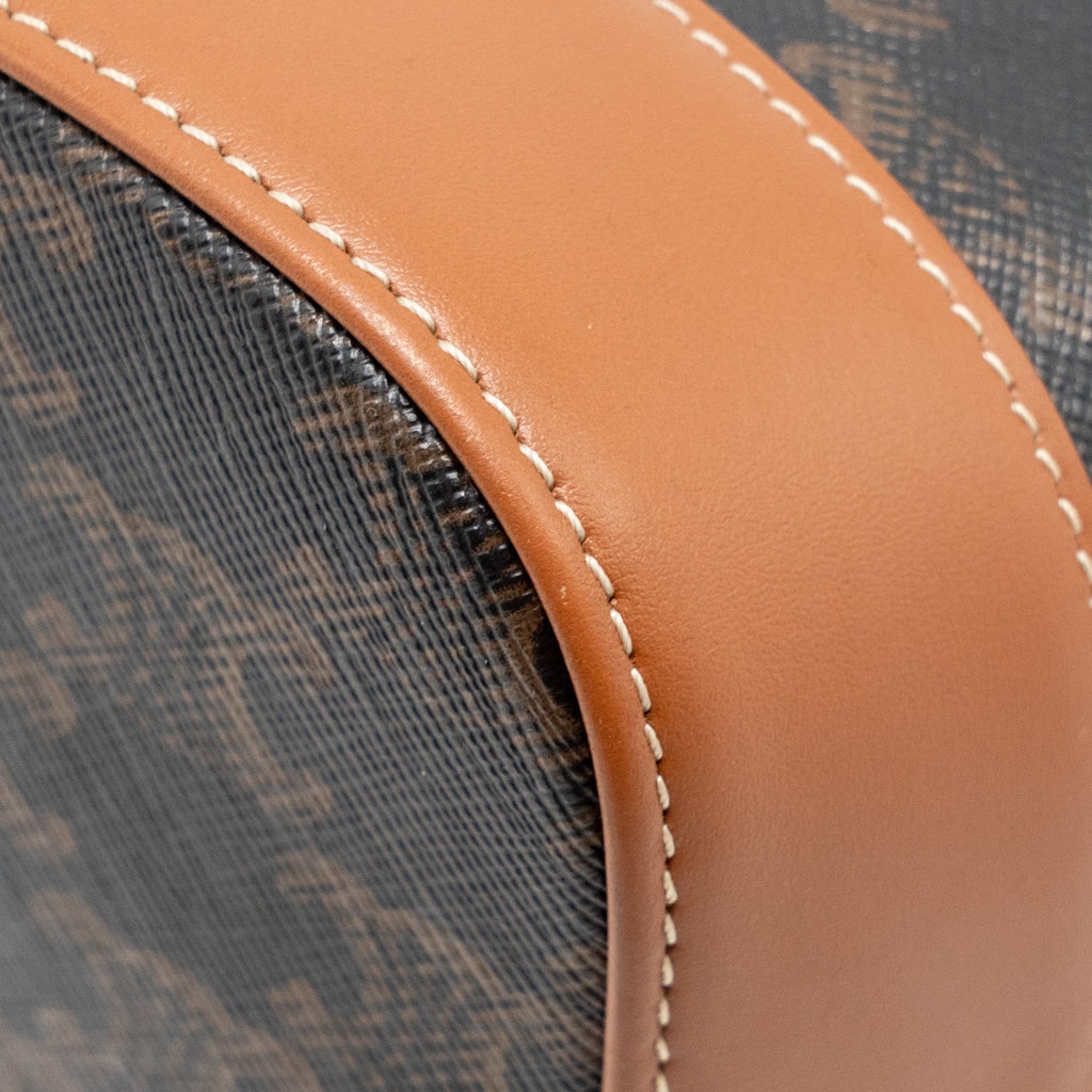 celine-small-bucket-bag-triomphe-canvas-leather-ghw-1