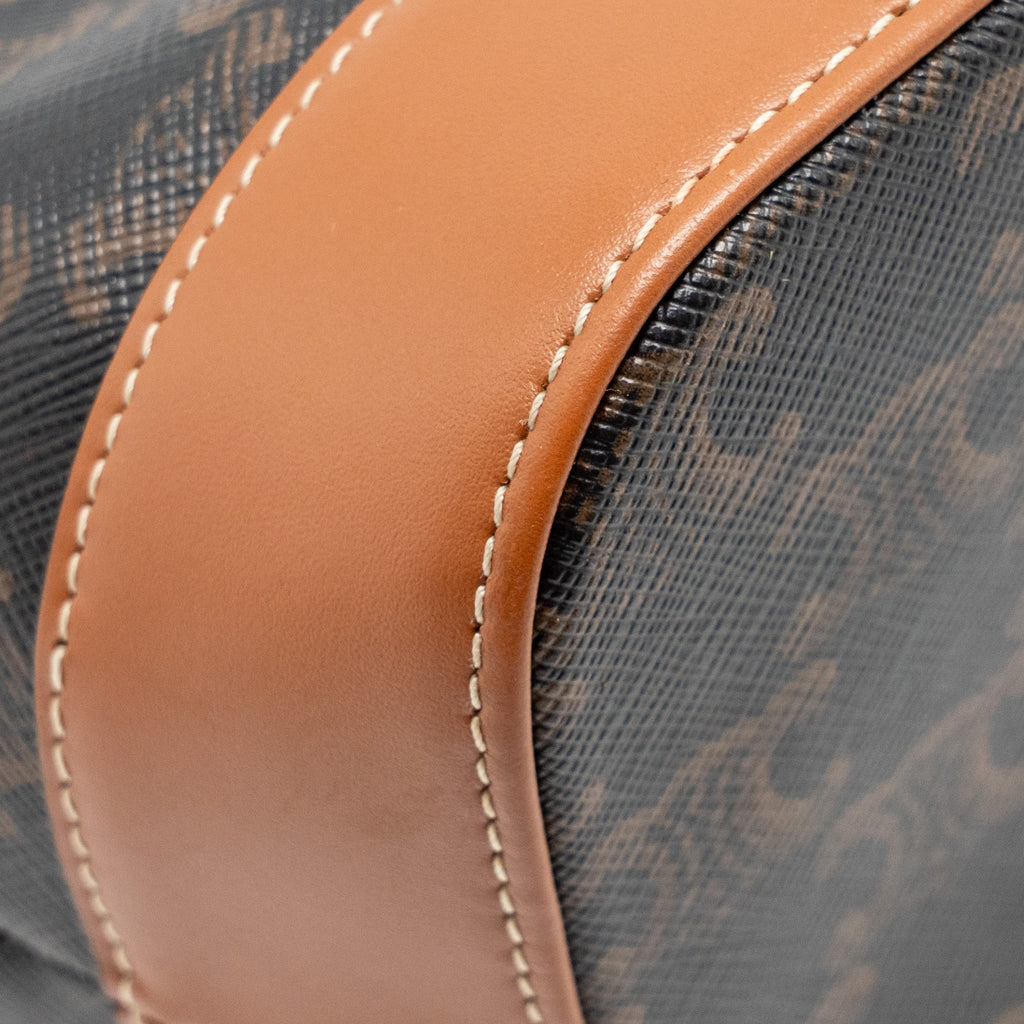 celine-small-bucket-bag-triomphe-canvas-leather-ghw-1