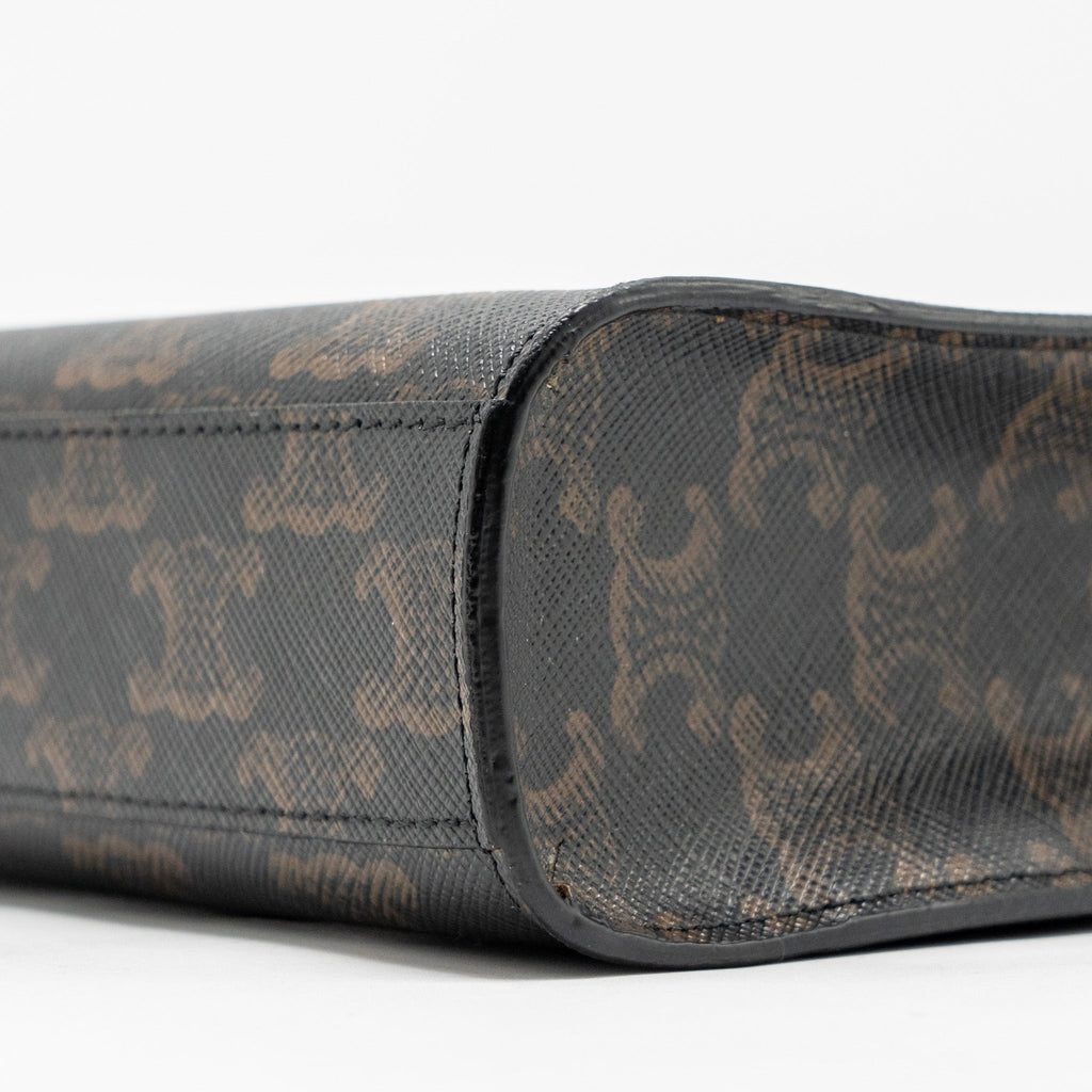 celine-mini-vertical-cabas-triomphe-canvas-ghw-copy