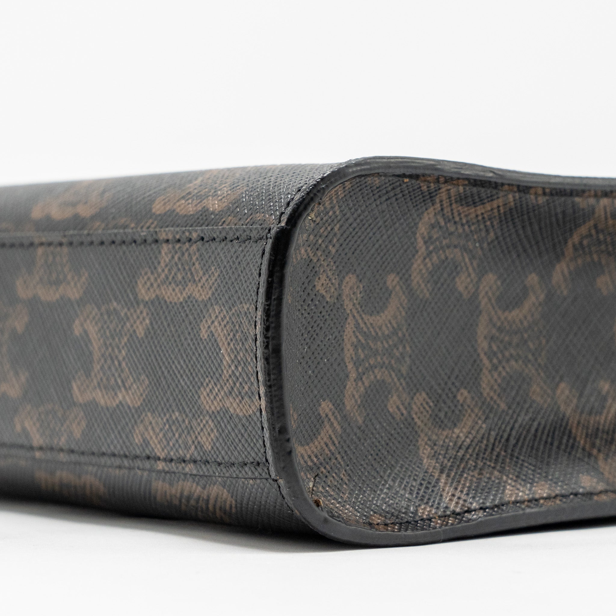 celine-mini-vertical-cabas-triomphe-canvas-ghw-copy